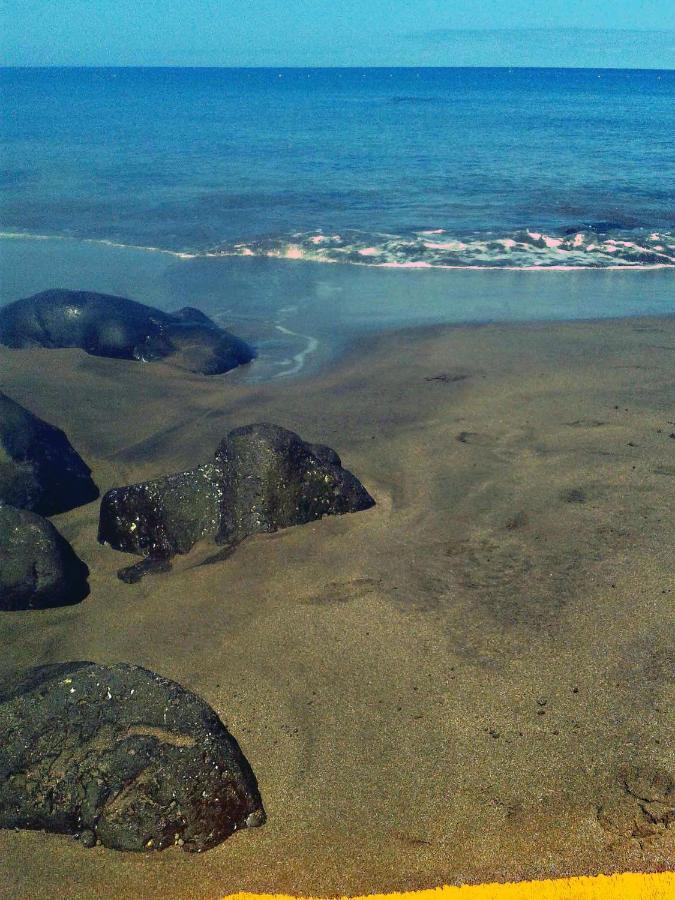 Apartamento A 1 Minuto De La Playa De Sardina Las Palmas Exterior photo